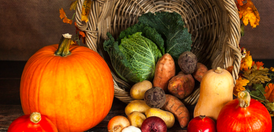 秋の健康対策はよく食べよく動くこと！